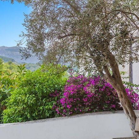 Bellavista 22 Daire Puerto de Sóller Dış mekan fotoğraf